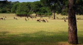 Parc national Brijuni