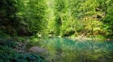 Parc national Risnjak