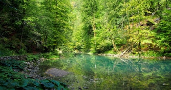 Parc national Risnjak