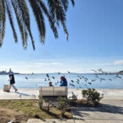 Port de Split et vol de mouettes